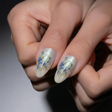 Load image into Gallery viewer, porcelain nail